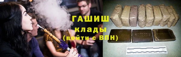 гашик Козельск