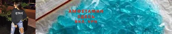 гашик Козельск