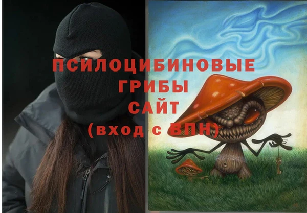 стаф Корсаков