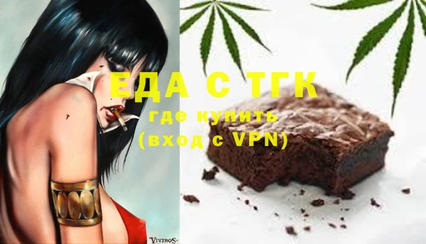 стаф Корсаков