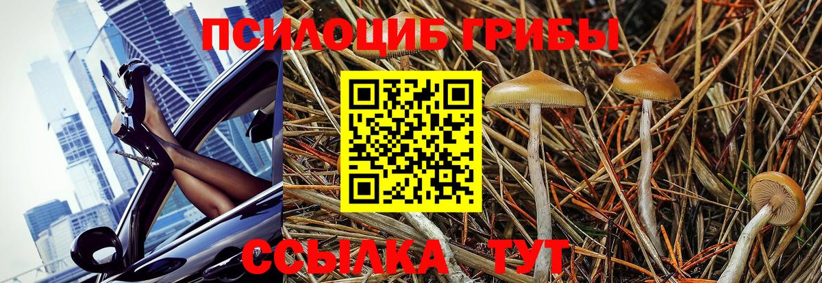 Рубцовск  Галлюциногенные грибы Psilocybine cubensis  Вход с VPN 