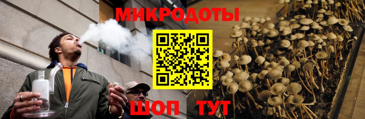 Галлюциногенные грибы Psilocybe  Рубцовск 